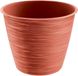 Prosperplast Paintstripe Plant Pot - Red - 15 x 12 cm - Stylish