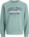 JACK & JONES Jjelogo Sweat Crew Neck 2Col Ss26 Sn Mni