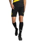 PUMA Replica shorts