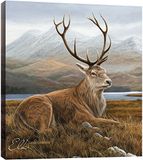 Tree-Free Greetings EcoArt Home Decor Wandplaat, 11,25 x 11,25 inch, klassieke Elk thema Wildlife Art (85704), 11,6 inch