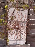 Edelrozen, fleurs suspendues