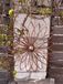 Edelrozen, fleurs suspendues