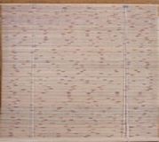 Intergard Rolgordijn Nara 150x200cm Groen Hout