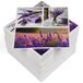 HEKU 100 servetten, 3-laags, 33 x 33 cm, lavendel