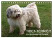 Tibet-Terrier Calvendo Tibet-Terrier - Eine Hunderasse mit Charakter (Tischkalender 2027 DIN A5 quer)