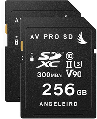 Angelbird AVpro SDXC UHS-II V90 256GB 2-pack