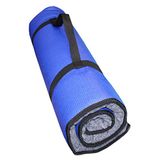 Ball Dynamics Int. LLC K9FITbed deurmat met poster voor honden, maat M/L, Blauw