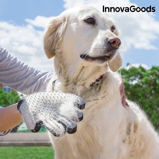 Innovagoods Honden handschoen - Handschoen om huisdieren te kammen en masseren