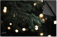 Dietrix Inductie Beschermer 65x52 - Feestdagen - Kerstboom tak met licht