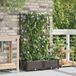 Maison Exclusive - Lot de 2 pots de jardin, marron, 80 x 40 x 126 cm, plastique PP