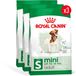 Royal Canin Mini Adult - 3 x 2 kg