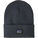 Patagonia Cap Everyday