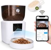 Prime AnimalZ Automatische Voerbak Kat en Hond 4L met Camera