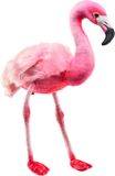 Wild Republic flamingo knuffel - roze - pluche - 40 cm