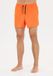 Virtus Boardshorts Smither V2
