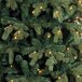 Triumph Tree - Sherwood kerstboom LED groen - h365cm