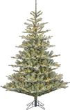 Black Box Trees Celtis - Luxe Kunstkerstboom met Besneeuwde Takken - 360 LED-lichtjes - 215 cm hoog - 135 cm breed - H215 x Ø135cm - Groen - Wit