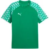PUMA teamLIGA26 Jersey