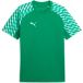 PUMA teamLIGA26 Jersey