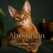 Abyssinian Calendar 2027: 15-Month Featuring Beautiful Cat Photography | January 27 - March 2028