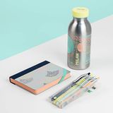 Milan® Geïsoleerde fles + 4 gekleurde pennen + notitieboekje - serie zilver