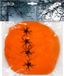 Boland Spinrag met spinnen 60 g orange