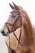 Horze Constance Gevoerd Gecombineerd Hoofdstel, Light Brown, X-Full