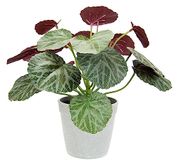 Kunstplant, begonia in pot, realistische begoniastruik, bladplant, balkonplant, struik, bladeren, kunstplanten, decoratie, kunstbloemen, terrasdecoratie, potplant, bruiloft, begoniabladerstruik