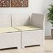 vidaXL Tuinbank met Kussen Rattan Look PP Wit