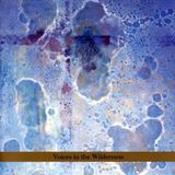 Bertus Distributie Tzadik Voices In The Wilderness: Masada Anniv Ed 2