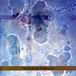 Bertus Distributie Tzadik Voices In The Wilderness: Masada Anniv Ed 2