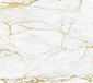 WENKO Multi-Plaat Mod. Marmer Goud