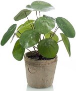 Bellatio Flowers & Plants Kunstplant pannenkoeken plant groen in pot 25 cm - Kamerplant groen pilea