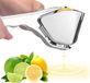 Citruspers Inox
