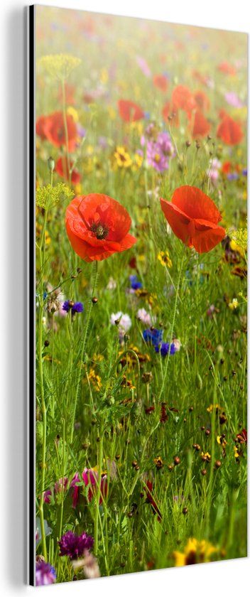 MuchoWow Wanddecoratie Metaal - Aluminium Schilderij Industrieel - Lente - Bloemen - Rood - Klaproos - Gras - Groen - 80x160 cm - Dibond - Foto op aluminium - Industriële muurdecoratie - Voor de woonkamer/slaapkamer