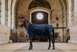 Kentucky Horsewear Couverture d'écurie Classic Navy 125-5'9 100 gram