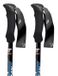Fizan Compact bâtons noir 59-132 cm