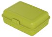 Icecat Lunchbox "School-Box" groot - Boîte à pain pour enfants avec compartiment et fermeture à clip, fabriqué en Allemagne - Motif : dinosaure