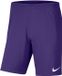 Nike Park III Short Kinderen - Paars | Maat: 164