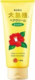 Oshima Tsubaki Hair Cream Smooth 160g
