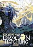 Reincarnated Airship Reincarnated as a Dragon Hatchling (Light Novel) Vol. 12 Paperback