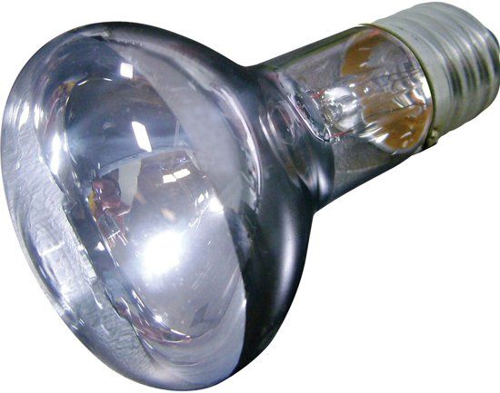 FLAMINGO Terrarium accessoire Daglichtspot Daylight Beam - 100 watt