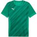 Puma Kindertrui teamGoal Graphic