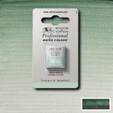 Winsor & Newton Watercolor paint W&N 1/2 – 637 Terre Verte