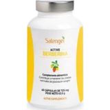 Active Berberine 60 gélules