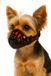Flamingo Muilkorf Chien – Silas Zwart XS – verstelbaar & comfortabel – pour petit Chien