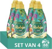 Robijn Klein & Krachtig Collections Vloeibaar Wasmiddel - Color Paradise Secret - 4 x 22 wasbeurten - Voordeelverpakking