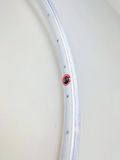 Xtrabike Velg Xtrabike 28 basic 36g/14 Zilver