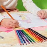 BIC Kids Evolution ECOlutions Kleurpotloden - Verschillende Kleuren, Classpack van 288 Stuks