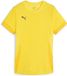Puma Dames TeamGoal Matchday-shirt Wmns 705749